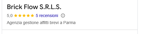 Screenshot 2026-03-11 at 14-57-06 brick flow srls - Cerca con Google